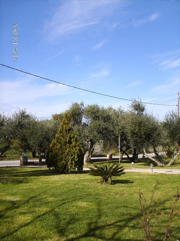 Tompras Village Paralia Demonias Dış mekan fotoğraf